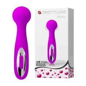 12 Speed USB Rechargeable Massage