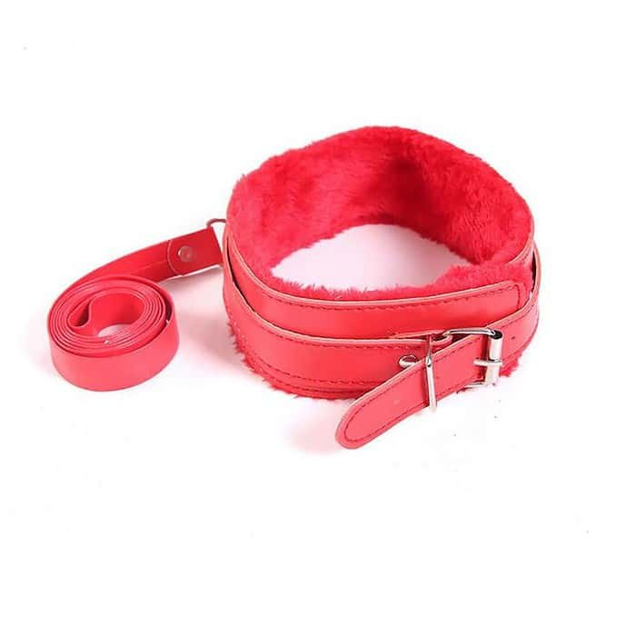 Leather Ring Collar with Leash - Image 2