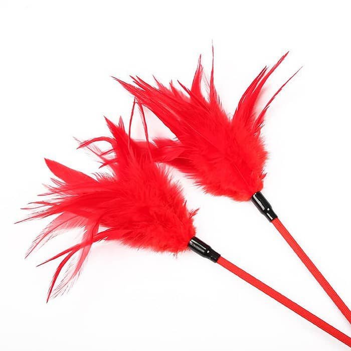 Feather Bar Fairy Spanking Paddle Spanker Flogger Whip - Image 3