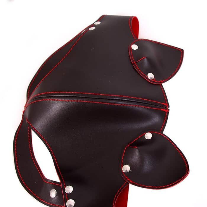Passion Fox Leather Mask - Image 2