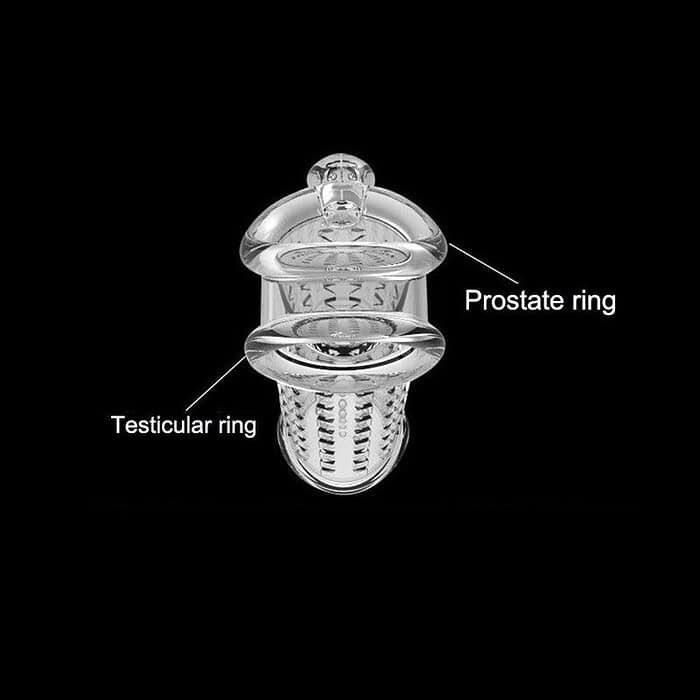 Crystal Rabbit Sleeve In Clear - Image 9