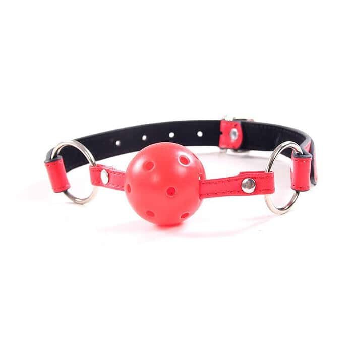 11pcs SM Bondage Restraints Set Kit Ball Gag Cuff Whip Eye Mask - Image 8