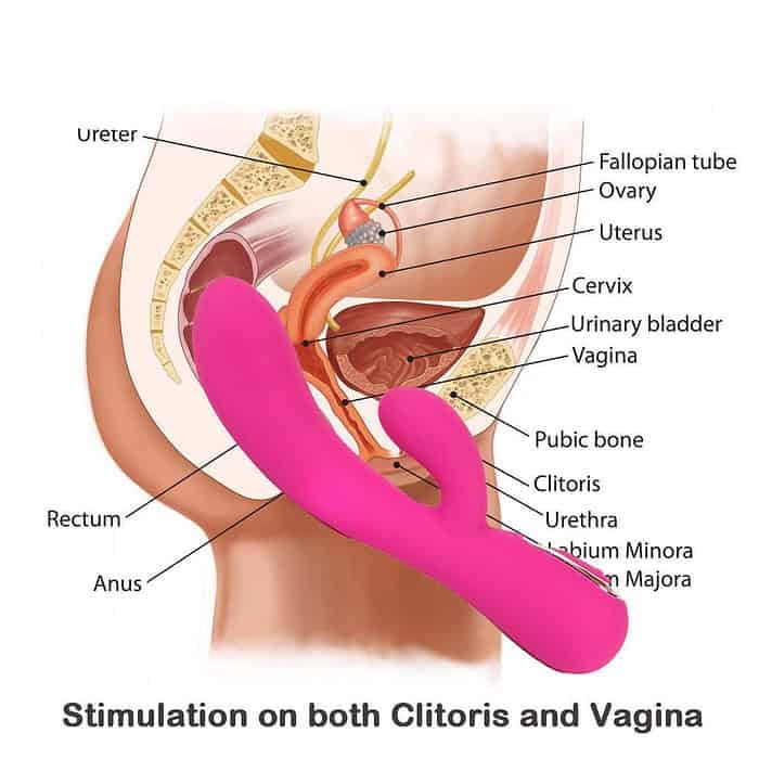 30 Speed Vibrating Dildo - Image 6